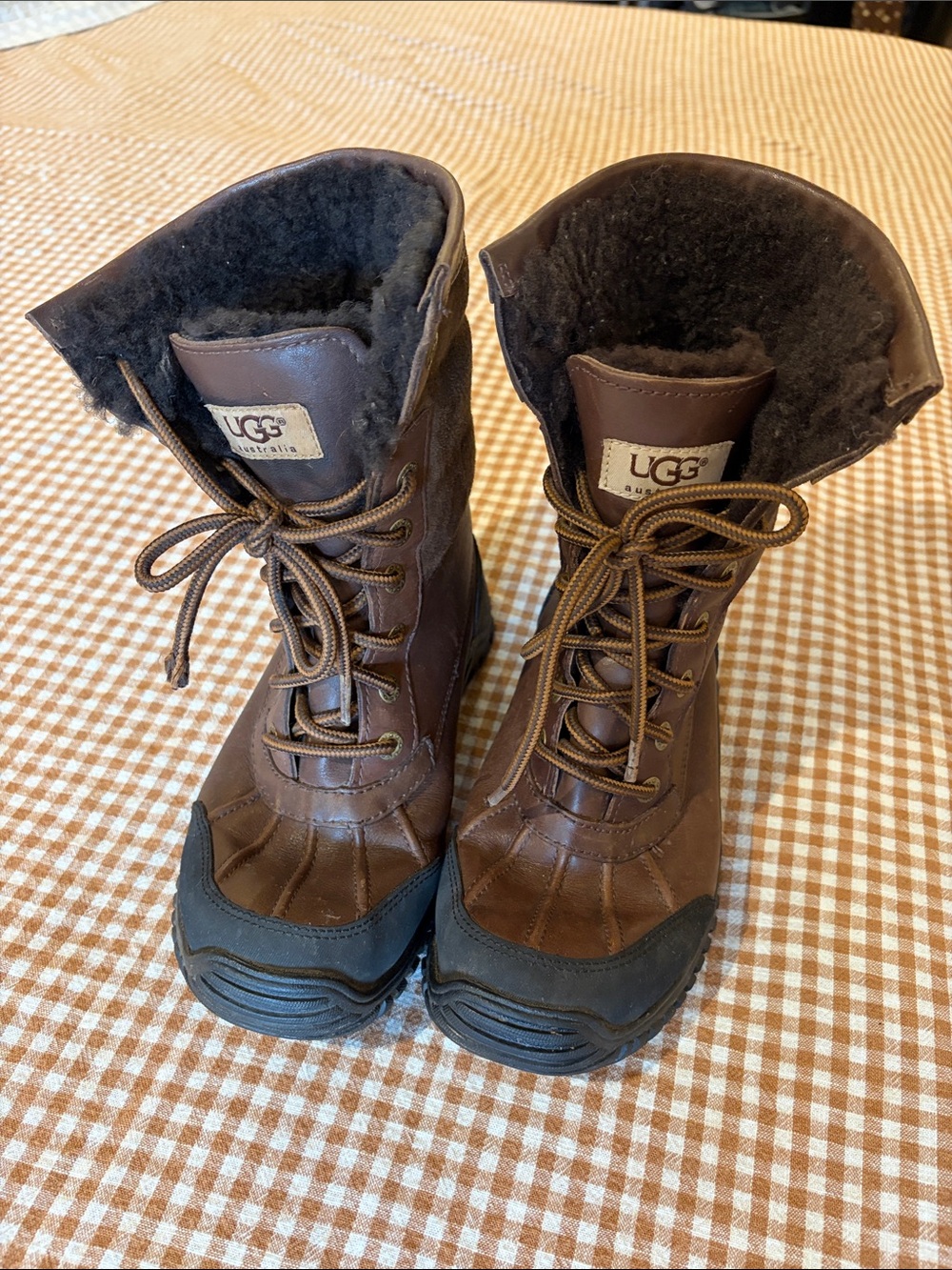 UGG women’s Adirondack 2 Waterproof Boots